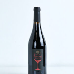 "Bottiglia di vino Pompeiano Aglianico IGP rosso del Vesuvio"