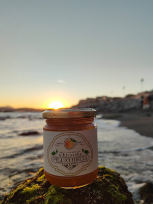 marmellata di albicocche pellecchiella del vesuvio