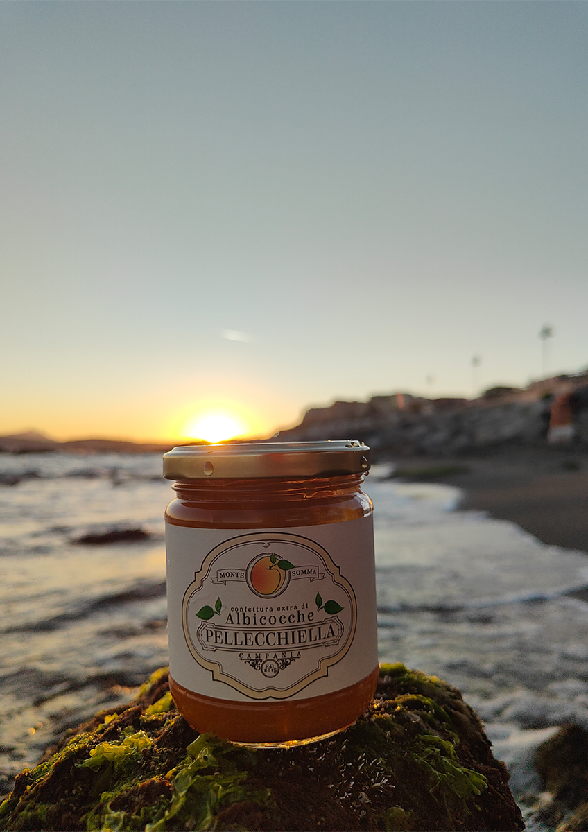 marmellata di albicocche pellecchiella del vesuvio